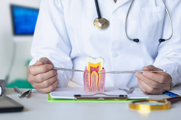 Best Dental Abscess Treatment in Sylvania, GA